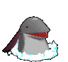 110553.gif
